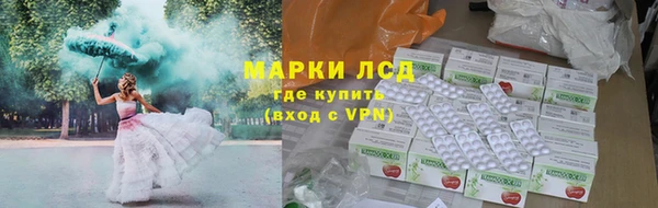 прущие грибы Нефтегорск
