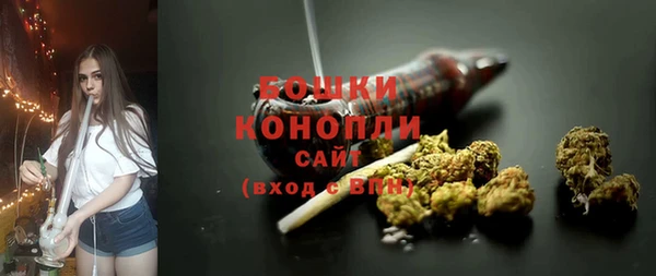 прущие грибы Нефтегорск