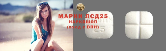 прущие грибы Новокубанск