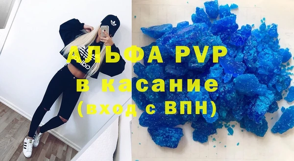 прущие грибы Новокубанск