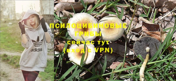 тгк Сим