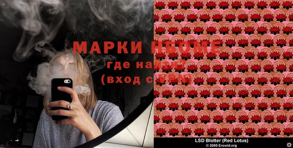 прущие грибы Нефтегорск
