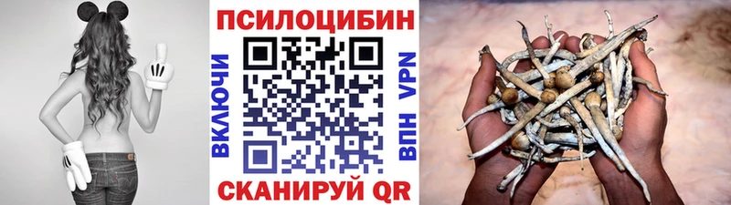 как найти   Улан-Удэ  Псилоцибиновые грибы прущие грибы 