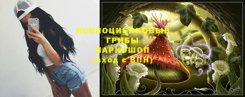 Псилоцибиновые грибы мухоморы  Улан-Удэ 