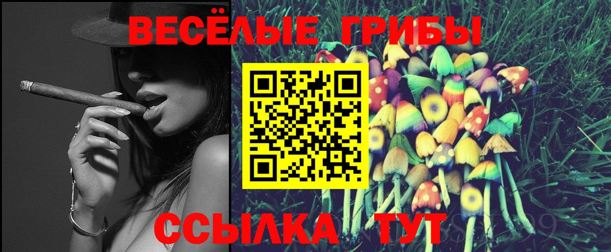 Псилоцибиновые грибы мухоморы Улан-Удэ