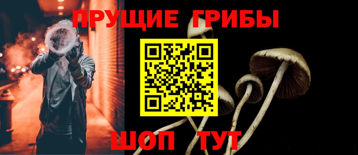 Псилоцибиновые грибы Psilocybe  Улан-Удэ 